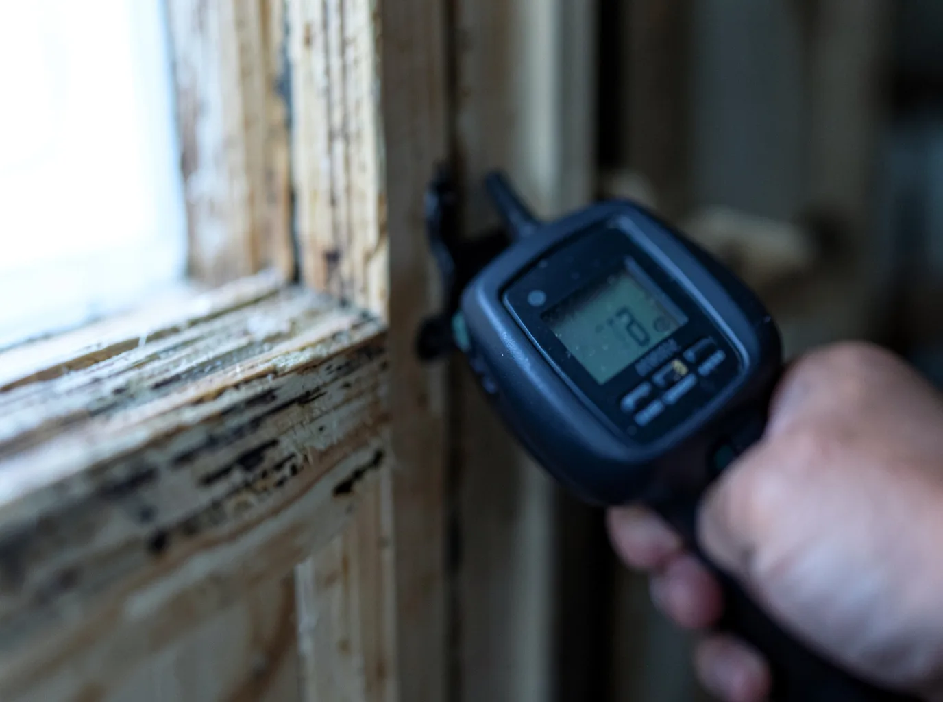 Moisture Inspection And Documentation in Hamshire, TX